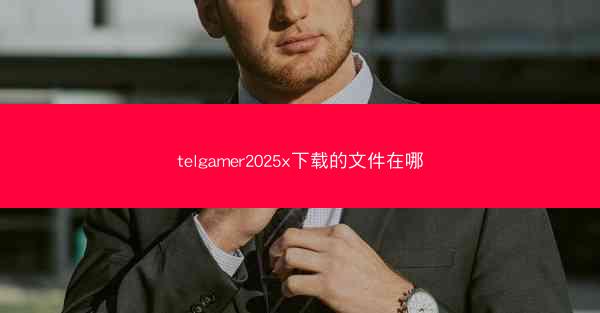 telgamer2025x下载的文件在哪
