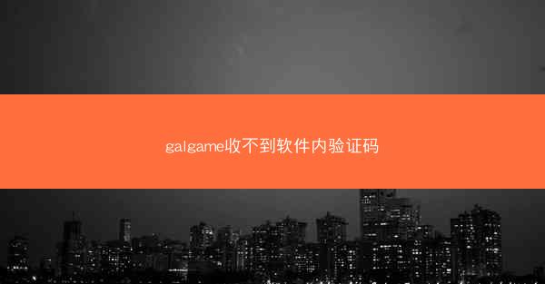 galgame收不到软件内验证码