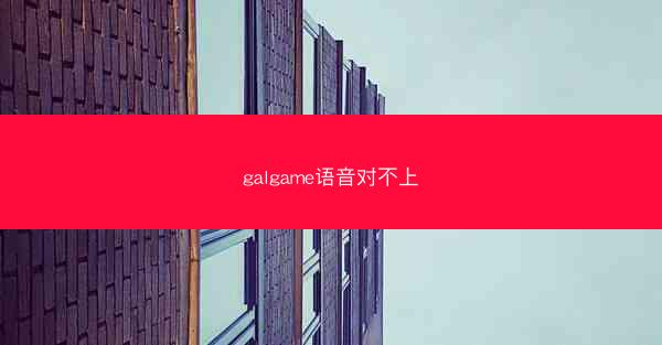 galgame语音对不上