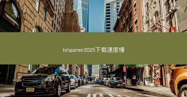 telgamer2025下载速度慢