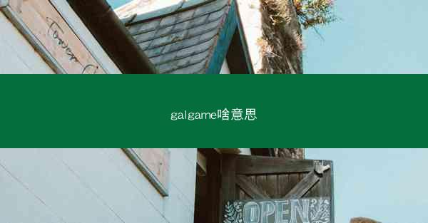 galgame啥意思