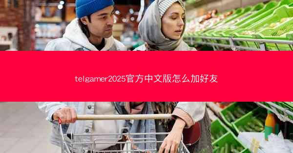 telgamer2025官方中文版怎么加好友