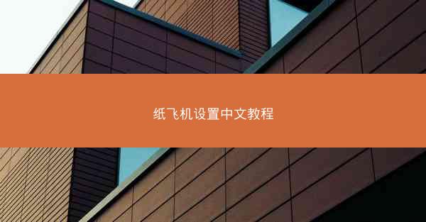 纸飞机设置中文教程