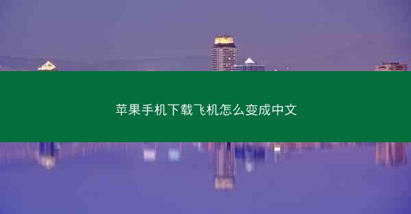 苹果手机下载飞机怎么变成中文