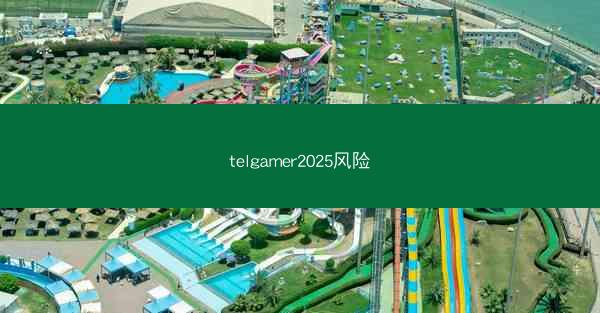 telgamer2025风险
