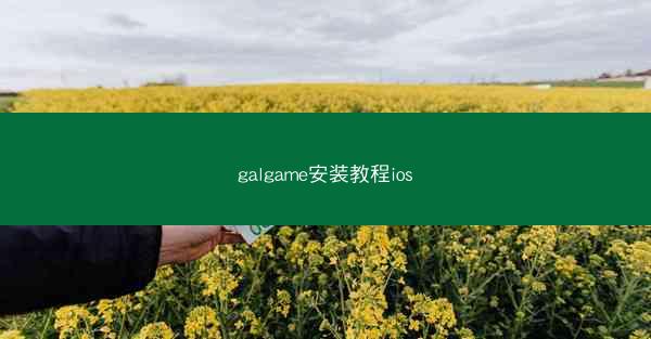 galgame安装教程ios