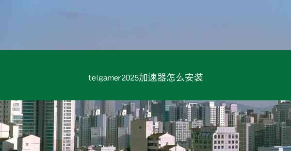 telgamer2025加速器怎么安装