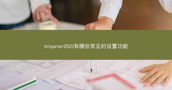 telgamer2025有哪些常见的设置功能
