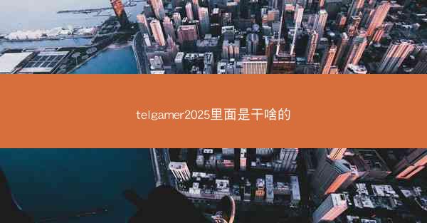 telgamer2025里面是干啥的