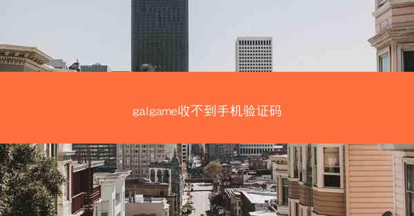 galgame收不到手机验证码
