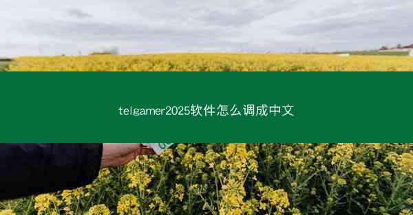 telgamer2025软件怎么调成中文