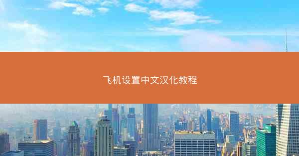 飞机设置中文汉化教程