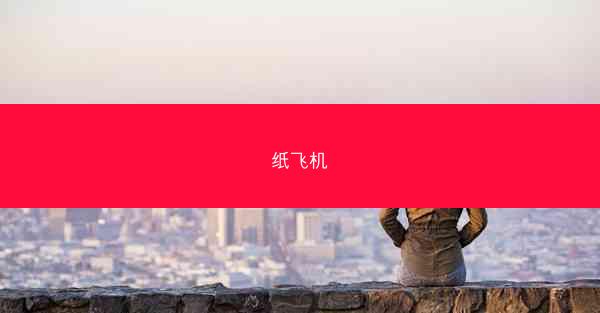 纸飞机
