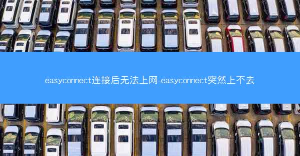 easyconnect连接后无法上网-easyconnect突然上不去