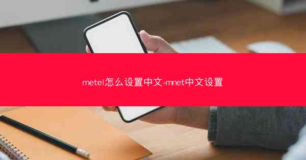metel怎么设置中文-mnet中文设置