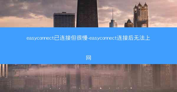 easyconnect已连接但很慢-easyconnect连接后无法上网
