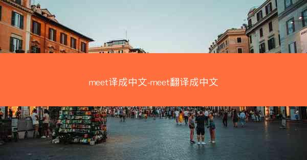 meet译成中文-meet翻译成中文