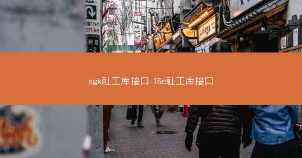 sgk社工库接口-16e社工库接口