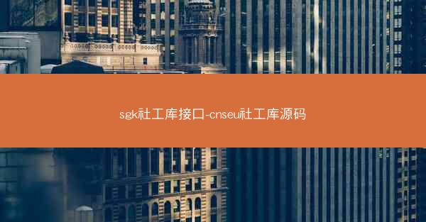 sgk社工库接口-cnseu社工库源码