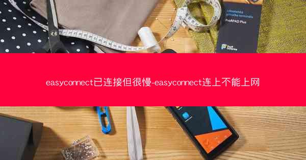 easyconnect已连接但很慢-easyconnect连上不能上网