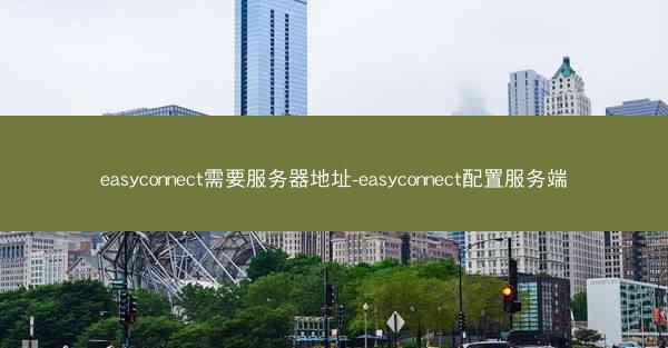 easyconnect需要服务器地址-easyconnect配置服务端