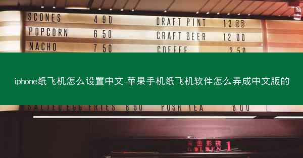 iphone纸飞机怎么设置中文-苹果手机纸飞机软件怎么弄成中文版的