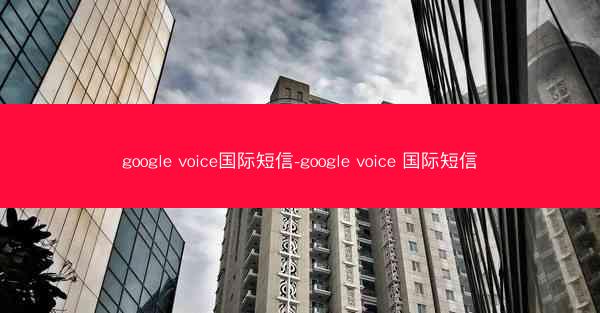 google voice国际短信-google voice 国际短信