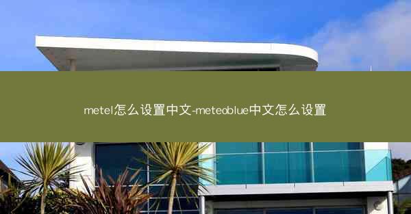metel怎么设置中文-meteoblue中文怎么设置