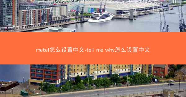 metel怎么设置中文-tell me why怎么设置中文