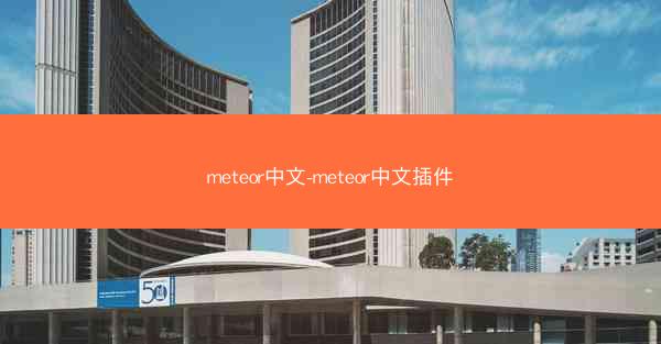 meteor中文-meteor中文插件
