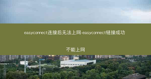 easyconnect连接后无法上网-easyconnect链接成功 不能上网