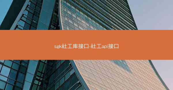 sgk社工库接口-社工api接口