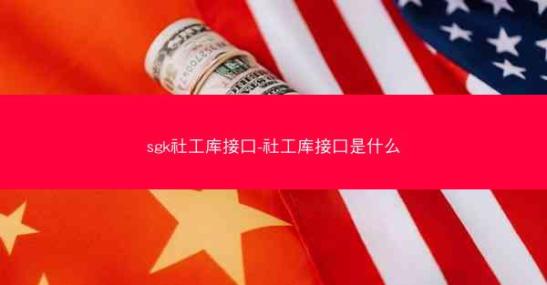sgk社工库接口-社工库接口是什么