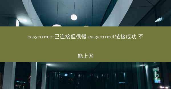 easyconnect已连接但很慢-easyconnect链接成功 不能上网